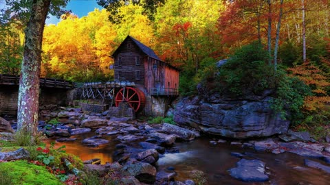 Forest | Nature | Waterfalls