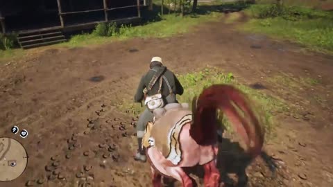 Red Dead Redemption2