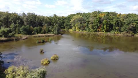 Fall Colors Starting Around Neighborhood Pond from Drone
