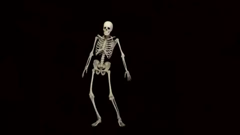 Fun dancing skeleton