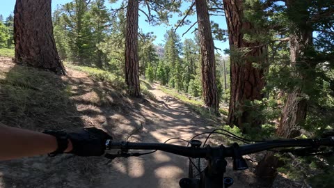 [MTB] Tahoe Rim Trail (TRT), Round Lake JCT (Luther Pass, CA)
