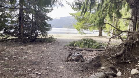 Campsite #1, Gale Creek Campground – Kachess Lake – Okanogan-Wenatchee – Washington – 4K