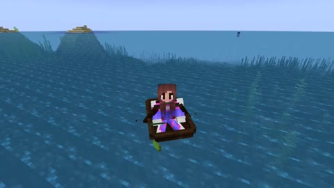 Minecraft 1.17.1_ Shorts_Modded 3rd time_Outting_66