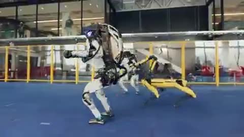Robots Dancing in the middle of 2021