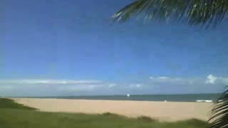 Vista deslumbrante da praia ao lado de dois coqueiros [Nature & Animals]