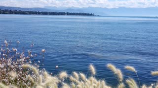 Morges city in Switzerland this is summer