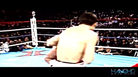 Top 15 Greatest Julio Cesar Chavez Fights HD