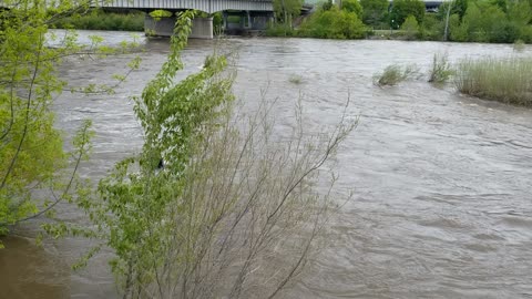 Brennans Wave Surfer, Missoula MT