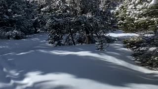 Snowboarding in Beautiful Vail Backcountry