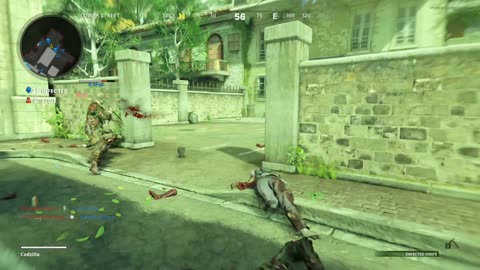 Getting Revenge for Slaughter of Teammates (Black Ops Cold War Infected)