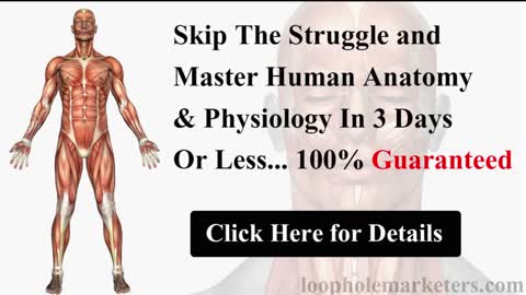 Human Anatomy & Physiology | Learn today