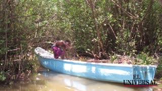 'Chambaculeras', la oportunidad que encontraron en el Caño Juan Angola