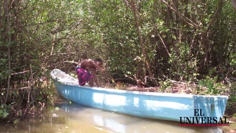 'Chambaculeras', la oportunidad que encontraron en el Caño Juan Angola