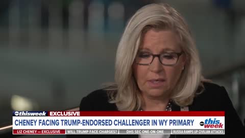 Liz Cheney Admits the Real Reason for the Jan 6 Committee