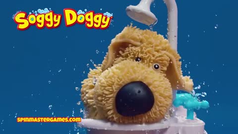 Soggy Doggy - Soggy Doggies Shake In Slow Mo!