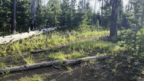 Designated Backcountry Campsite #2, NW Side of Square Lake – Three Fingered Jack Loop – 4K