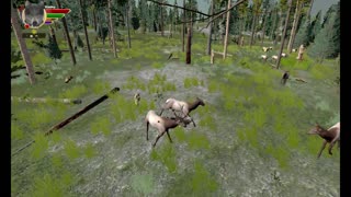 WolfQuest AE Elk Round Challenge - 15