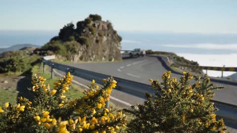 Car driving on a curvy road_batch