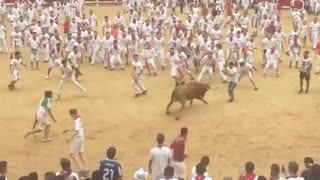 Running with the Bulls Front Flip
