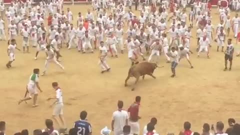 Running with the Bulls Front Flip