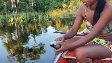 Fishing with malhadeira in the Amazon rainforest/Brazil