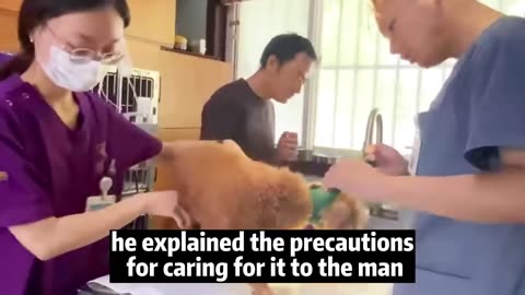 A man rescued a dog with one blind eye and half of its face rotten,the doctor suggested giving up it