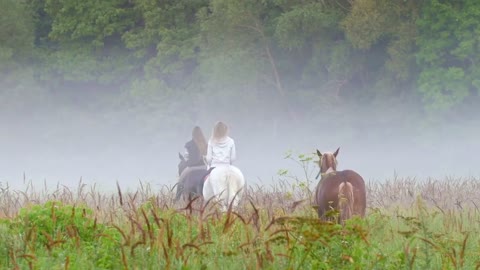 Two young girls riding horses go into the fog, the third horse of brown color goes after them