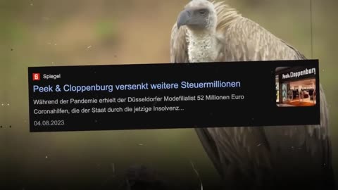 Pleitegeier statt Bundesadler - das neue Wappentier von Ampel-Deutschland!