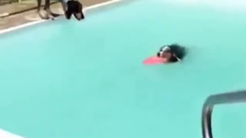 He got so excited for the swimming or his friend?