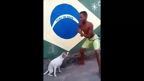 Perrito imita su dueño bailando