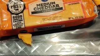 Eating Kroger Medium Cheddar Cheese, Dbn, MI, 8/10/23