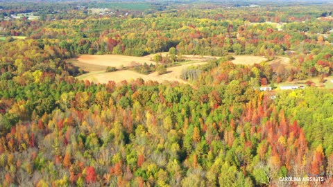 Fall Foliage in Enochville, NC Rowan County