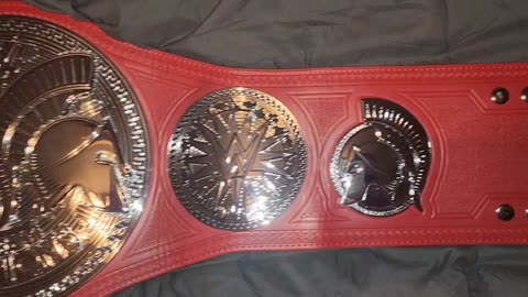 WWE Raw tag team championship replica