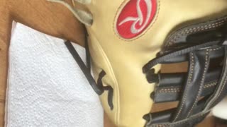 Rawlings pro preferred