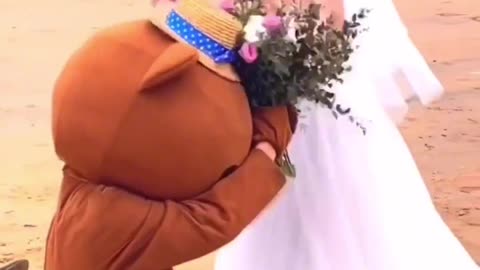 Brown bear helps you take wedding photos and the ending of episode 140