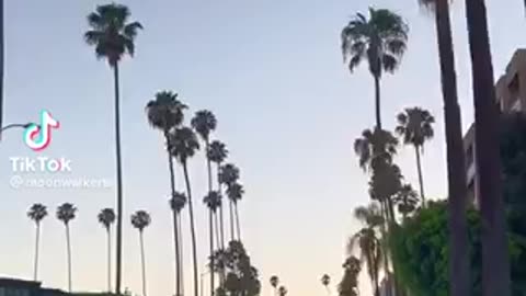 LA