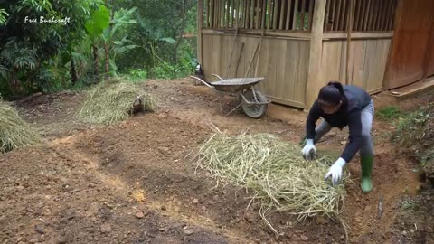 Complete Vegetable Garden, Woven Bamboo Fence, Planting Vegetable Seeds | Free Bushcraft, Ep96