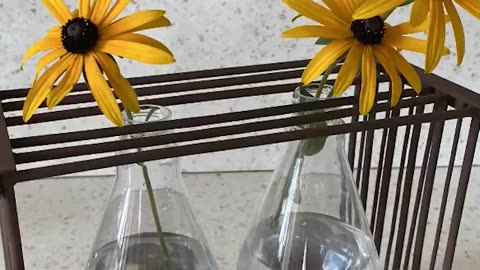 A simple vase idea made from plastic bottles and wooden sticks | Reuse of plastic bottles