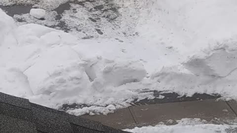 Gangstalkers plow snow on to my driveway.