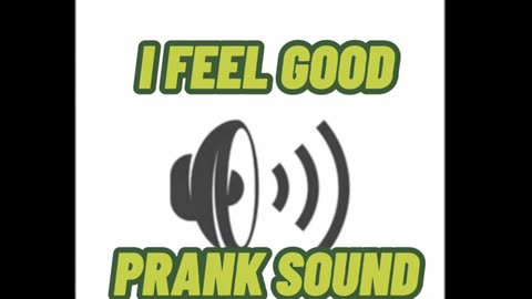 I FEEL GOOD PRANK SOUND🤣🤣SO GOOD! (360p)