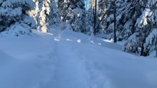 Quintessential Central Oregon in Winter – Swampy Lakes Sno-Park