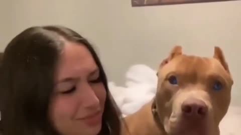 dog and girl funny video