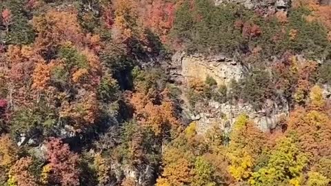 CHATTANOOGA FALL COLOR UPDATE Lookout Mountain