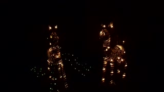 Christmas Zebras: