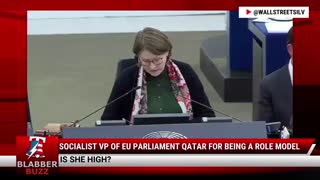 Socialist VP of EU Parliament Qatar For Being A Role Model