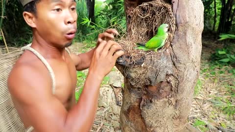 Survival In The Rainforest - BAMBOO SHOOTS - CUTE PARROT - BEES