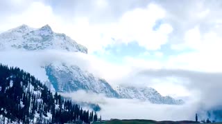 The Kashmir India beauty of the beast 🥰🥰