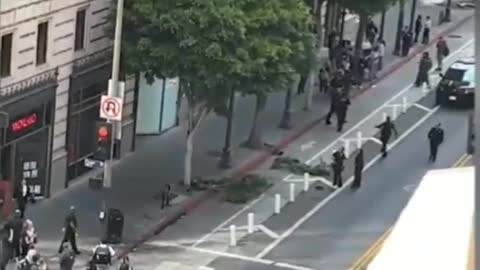 Vdeo of a man with a cleaver, who is refusing to get out of a tree in DTLA.