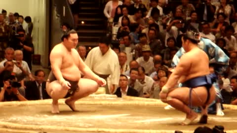 #1 Sumo Wrestler Tokyo, Japan