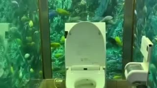 AQUARIUM BATHROOM